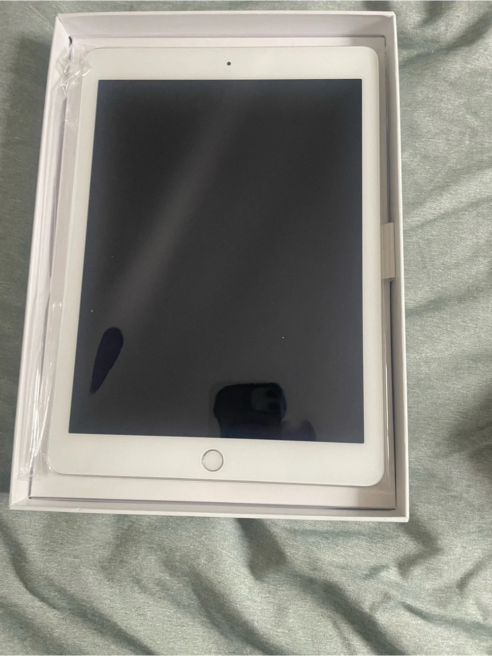 Apple iPad Air 2 Silver Back Panel Wi‑Fi Tablet